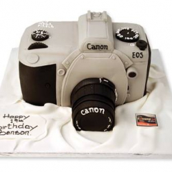 Canon Camerataart